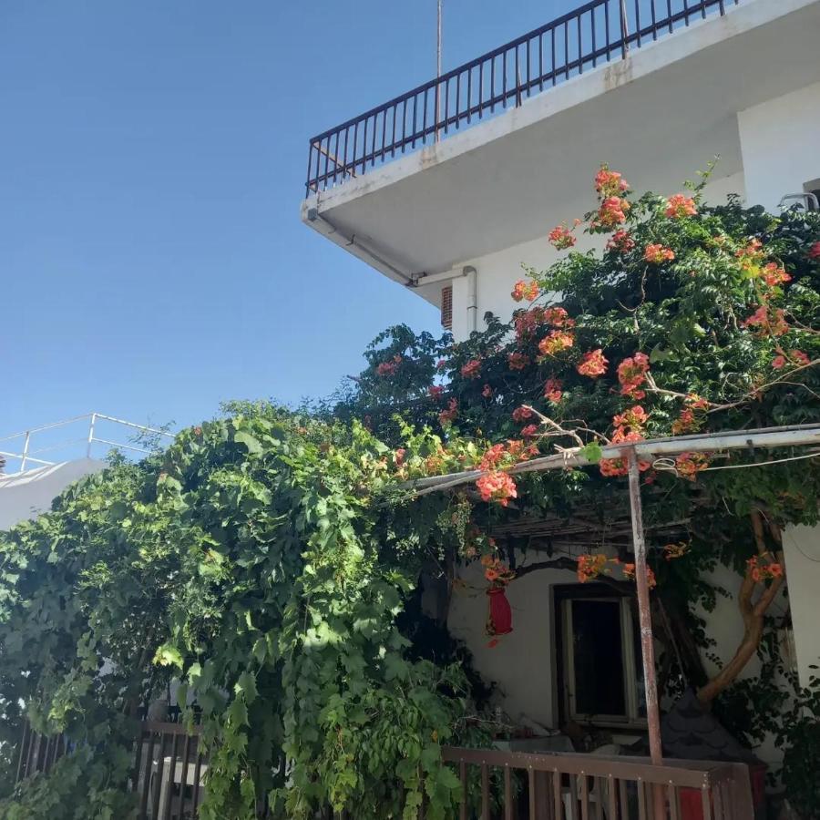 Ampelos Andros Batsi  Exterior foto